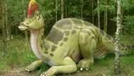 Park Dinozaurów - Nowiny Wielkie Atrakcje Lubuskie k/ Gorzowa Dla Dzieci3