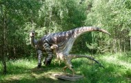 Park Dinozaurów - Nowiny Wielkie Atrakcje Lubuskie k/ Gorzowa Dla Dzieci8