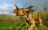 Park Dinozaurów - Nowiny Wielkie Atrakcje Lubuskie k/ Gorzowa Dla Dzieci17