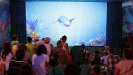 Atrakcje Dla Dzieci Władysławowo Turystyczne Pomorza Bar Ocean Park