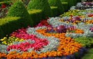 Ogrody Tematyczne Hortulus\Kwiaty\Sprzedaż Roślin7
