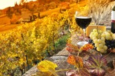 Dolina Napa jest niewielkim regionem uprawy i produkcji wina w Kalifornii