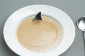 Zupa z płetwy rekina najbardziej ekskluzywnya zupa świata