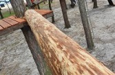 Park Linowy KAMRAT w Sielpi to przygoda, adrenalina i pokonywanie własnych ograniczeń.