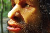 Neandertalczyk niewiele odstawali od Homo sapiens