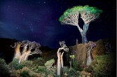 krajobraz Sokotry w nocy