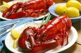 Homar, skorupiak żyjący w wodach Oceanu Atlantyckiego