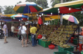sprzedaż owoców durianu