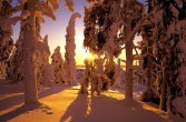 Laponia - tutaj mieszka święty mikołaj