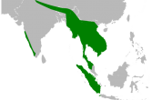 mapa występowania dzioborożca wielkiego