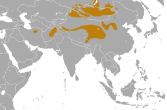 mapa występowania manula