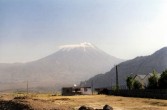 widok na Ararat