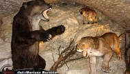Jaskinia Niedźwiedzia w Kletnie Stronie Śląskie Atrakcja Dolnośląskie 10