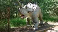 Park Dinozaurów - Nowiny Wielkie Atrakcje Lubuskie k/ Gorzowa Dla Dzieci1