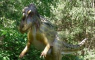 Park Dinozaurów - Nowiny Wielkie Atrakcje Lubuskie k/ Gorzowa Dla Dzieci2