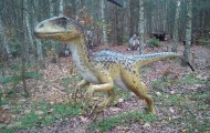 Park Dinozaurów - Nowiny Wielkie Atrakcje Lubuskie k/ Gorzowa Dla Dzieci4