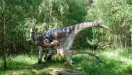 Park Dinozaurów - Nowiny Wielkie Atrakcje Lubuskie k/ Gorzowa Dla Dzieci8