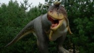 Park Dinozaurów - Nowiny Wielkie Atrakcje Lubuskie k/ Gorzowa Dla Dzieci10