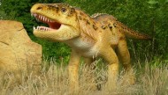 Park Dinozaurów - Nowiny Wielkie Atrakcje Lubuskie k/ Gorzowa Dla Dzieci11