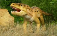 Park Dinozaurów - Nowiny Wielkie Atrakcje Lubuskie k/ Gorzowa Dla Dzieci11