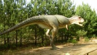 Park Dinozaurów - Nowiny Wielkie Atrakcje Lubuskie k/ Gorzowa Dla Dzieci12