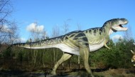 Park Dinozaurów - Nowiny Wielkie Atrakcje Lubuskie k/ Gorzowa Dla Dzieci19