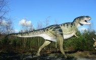 Park Dinozaurów - Nowiny Wielkie Atrakcje Lubuskie k/ Gorzowa Dla Dzieci19