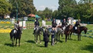 Ludowy Klub Jeździecki w Tarnowie - Klikowej Nauka Jazdy Konnej Hipoterapia 4