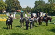 Ludowy Klub Jeździecki w Tarnowie - Klikowej Nauka Jazdy Konnej Hipoterapia 4