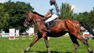 Ludowy Klub Jeździecki w Tarnowie - Klikowej Nauka Jazdy Konnej Hipoterapia 6