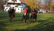 Ludowy Klub Jeździecki w Tarnowie - Klikowej Nauka Jazdy Konnej Hipoterapia 7