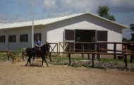 Ośrodek Szkoleniowy i Jeździecki - OPTiBUR - Budy Kałki - Noclegi