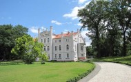 Pałac Drzeczkowo - budynek