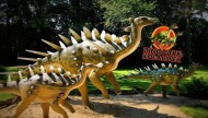 park-rozrywki-dinopark-kolacianek-atrakcje 5