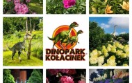park-rozrywki-dinopark-kolacianek-atrakcje 2