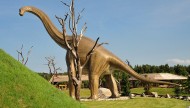 Park Dinozaurów Łeba\Restauracje\Rozrywki\Bary\Grille\Atrakcje Pomorza 6