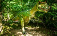 dinozatorland-zator-atrakcje-maloplskie-kino-5d-extreme-park-rozrywki-muzeum-lunapark-dla-dzieci1