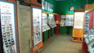 Muzeum Motyli Władysławowo Atrakcje Turystyczne Pomorza