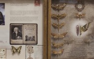 Atrakcje\Małopolska\Muzeum Motyli\Małopolskie\ Arthropoda\Bochnia12
