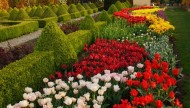 Ogrody Tematyczne Hortulus\Kwiaty\Sprzedaż Roślin10