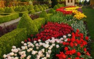 Ogrody Tematyczne Hortulus\Kwiaty\Sprzedaż Roślin10